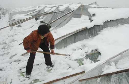 大雪壓垮鋼結(jié)構(gòu)廠房，眾多“二師兄”壯烈犧牲